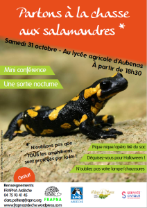 Affiche salamandre_20151031.png